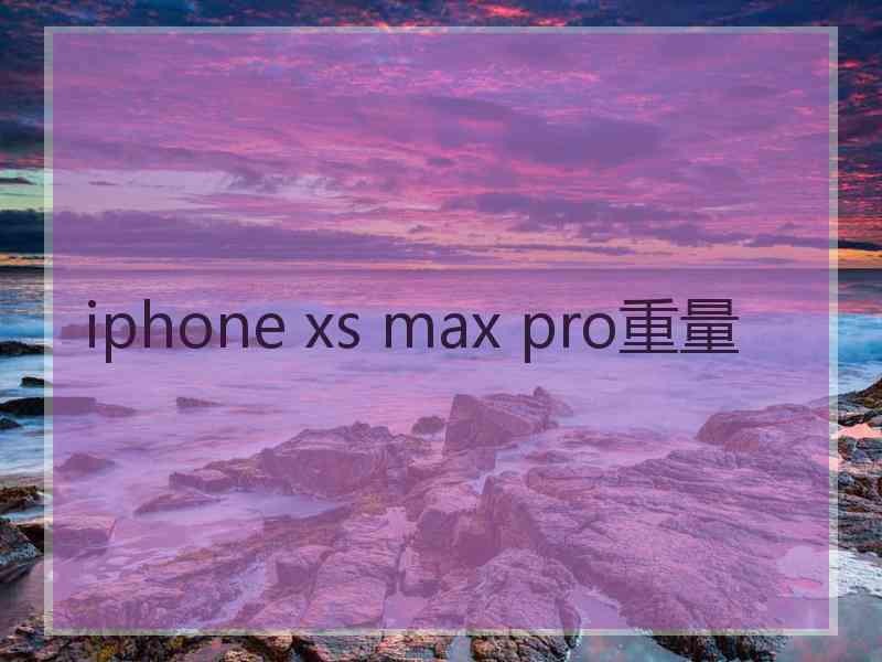 iphone xs max pro重量