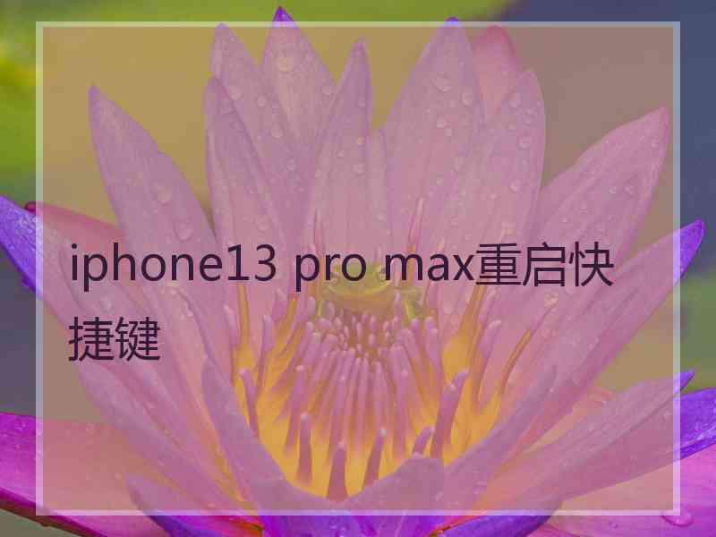 iphone13 pro max重启快捷键