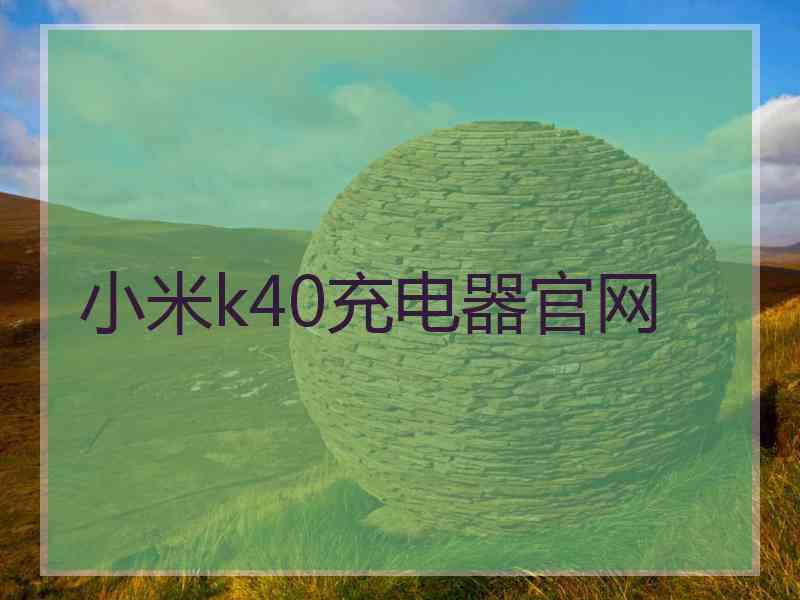 小米k40充电器官网