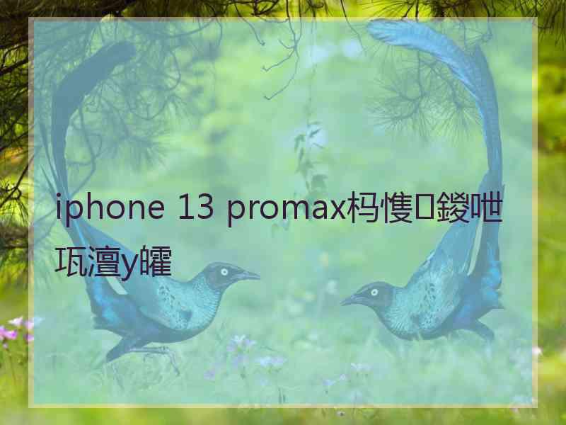 iphone 13 promax杩愯鍐呭瓨澶у皬