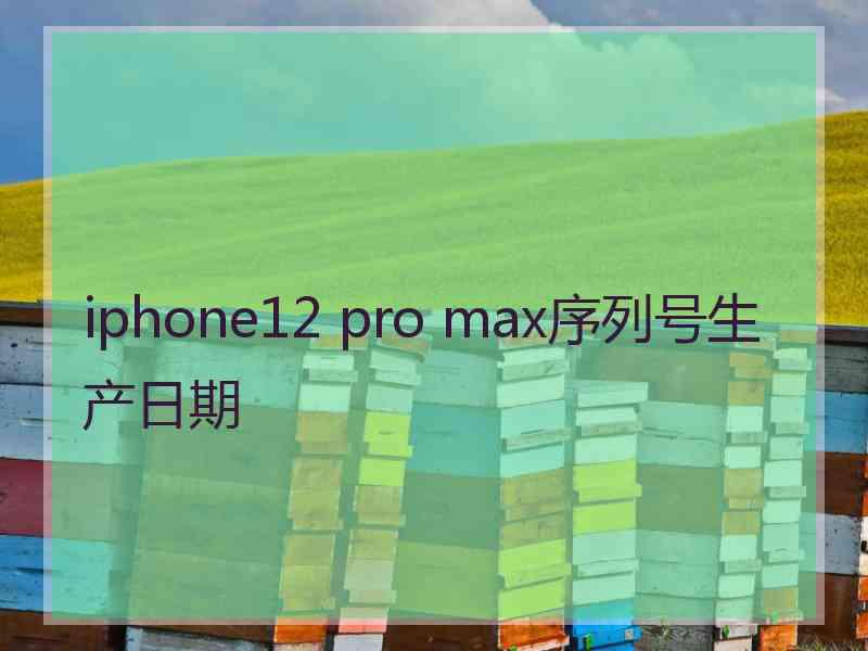 iphone12 pro max序列号生产日期