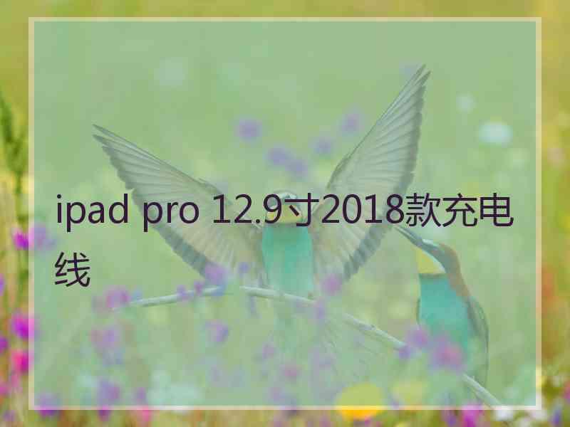 ipad pro 12.9寸2018款充电线