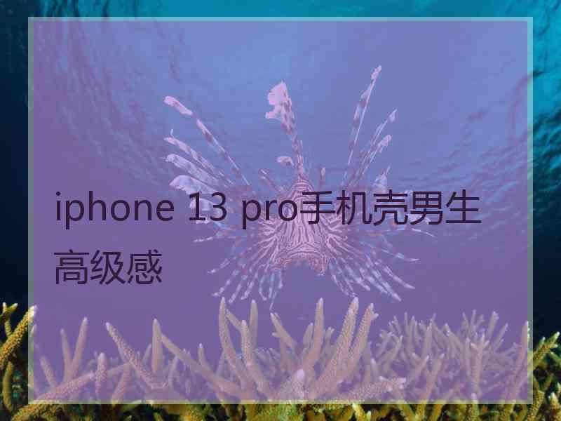 iphone 13 pro手机壳男生高级感