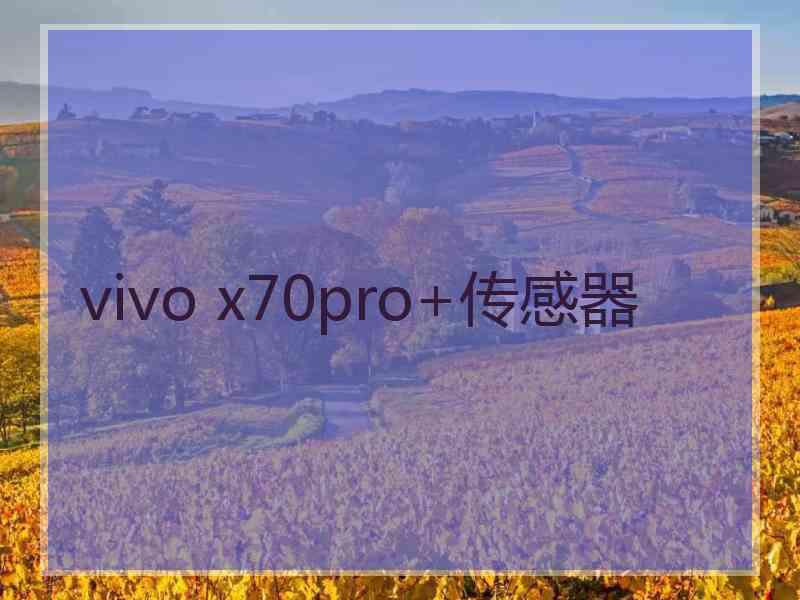 vivo x70pro+传感器