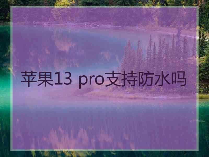 苹果13 pro支持防水吗