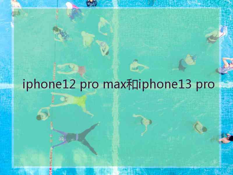 iphone12 pro max和iphone13 pro