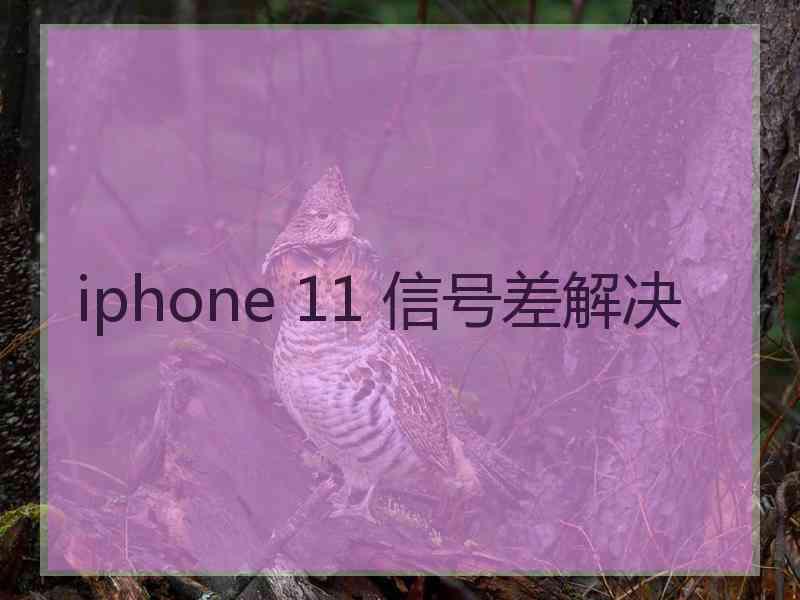 iphone 11 信号差解决