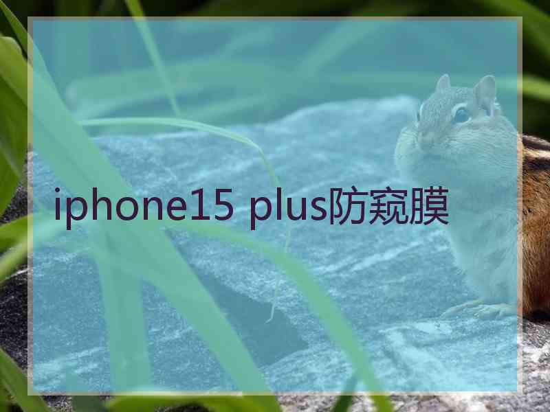 iphone15 plus防窥膜