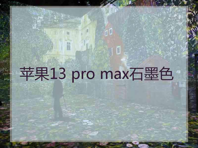 苹果13 pro max石墨色