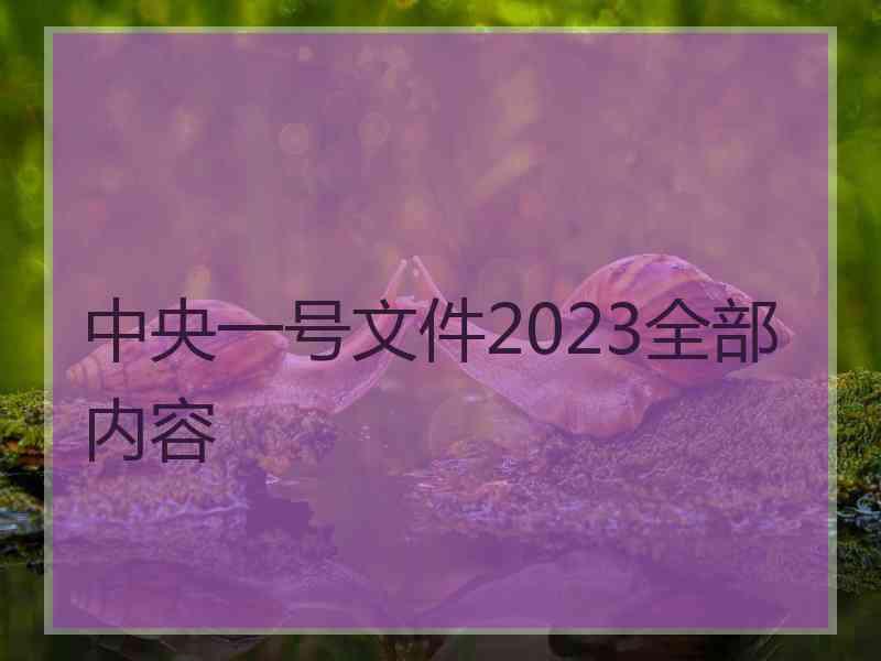 中央一号文件2023全部内容