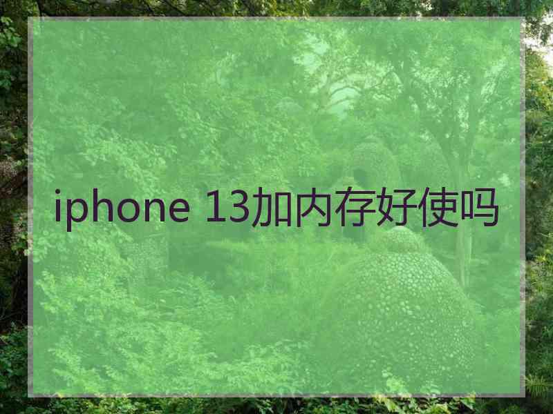 iphone 13加内存好使吗