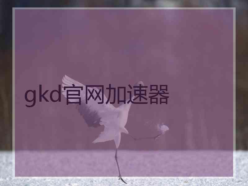 gkd官网加速器