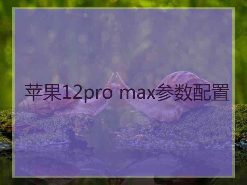 苹果12pro max参数配置