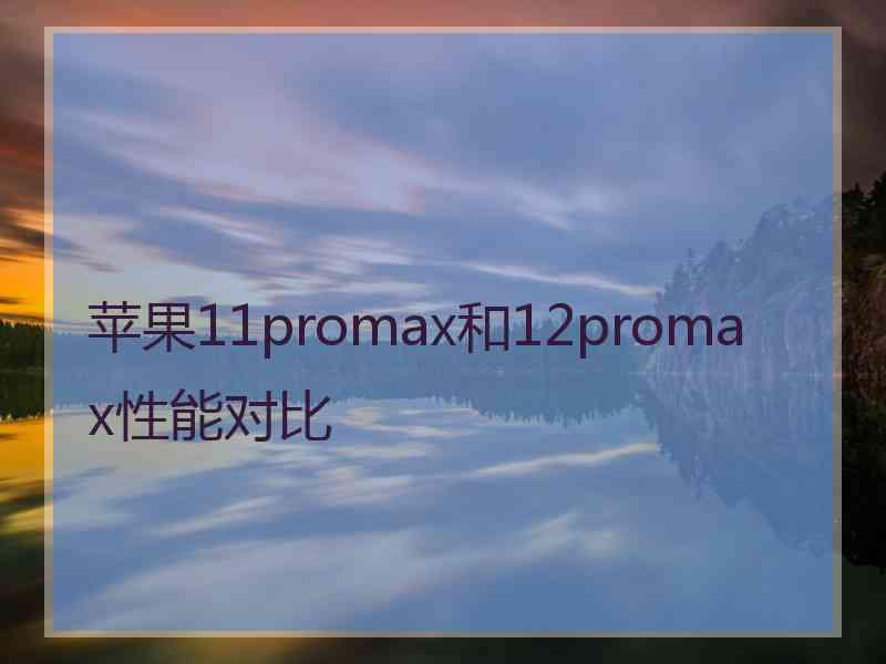 苹果11promax和12promax性能对比