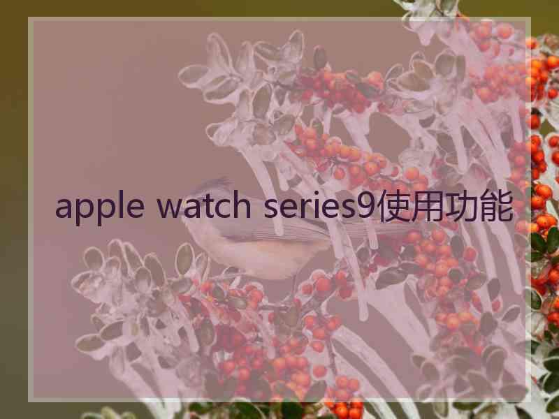 apple watch series9使用功能