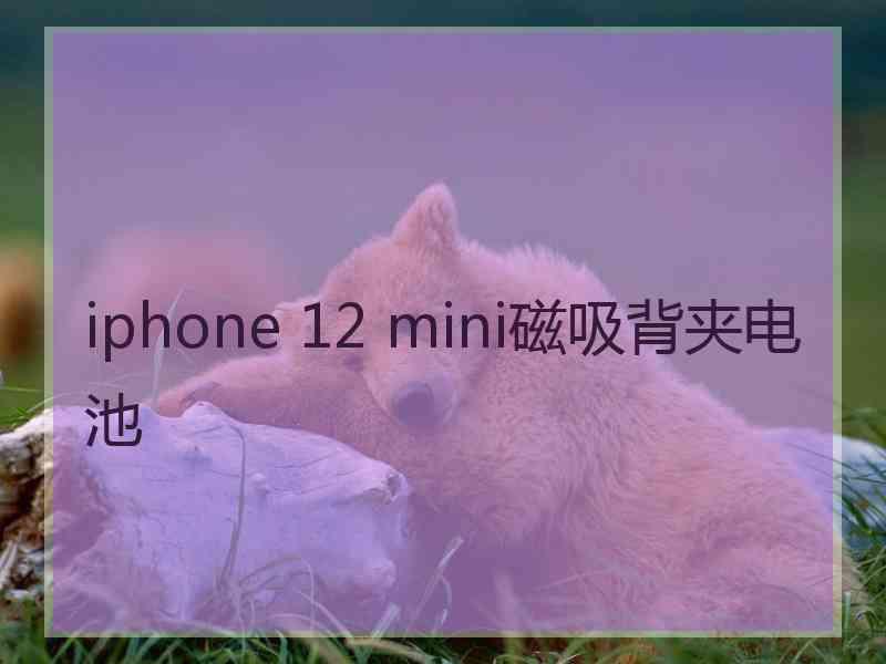 iphone 12 mini磁吸背夹电池