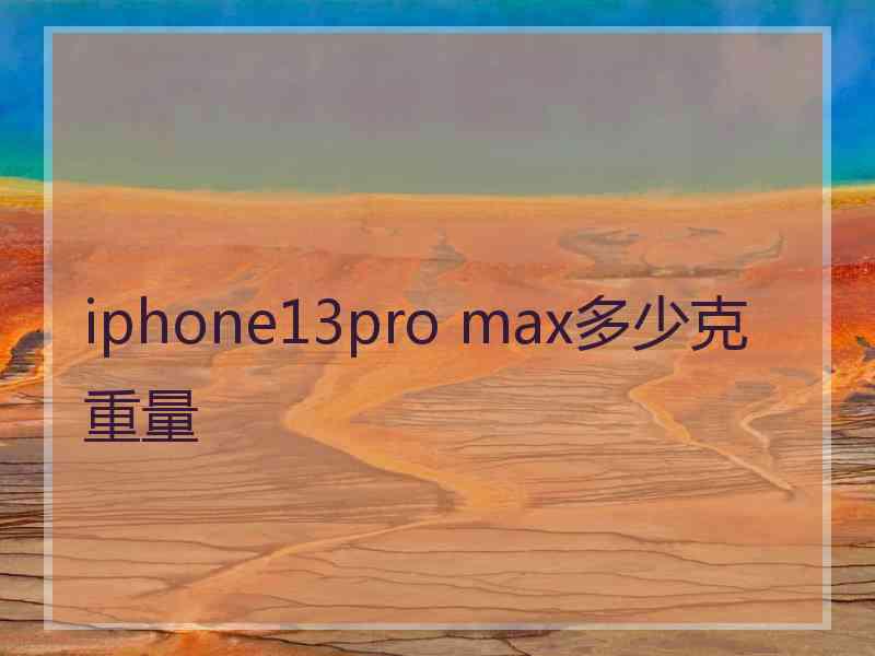 iphone13pro max多少克重量