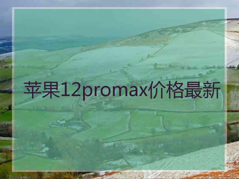 苹果12promax价格最新