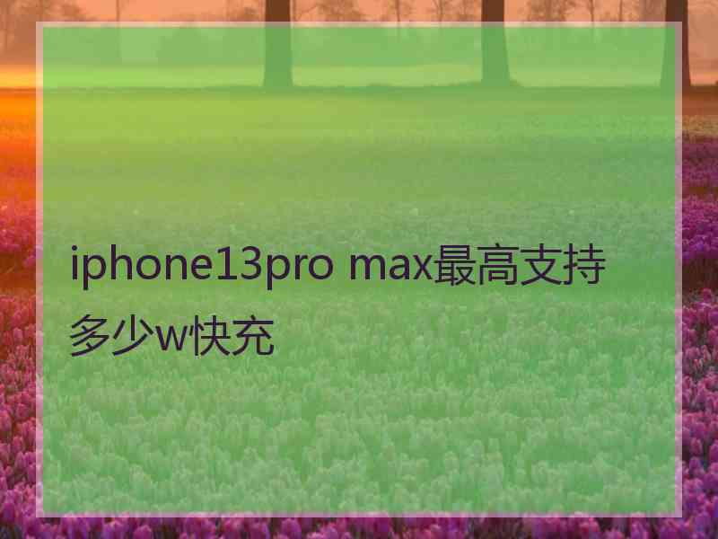 iphone13pro max最高支持多少w快充