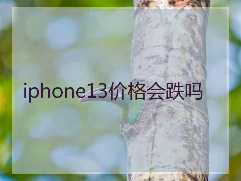 iphone13价格会跌吗