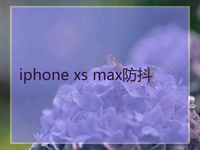 iphone xs max防抖