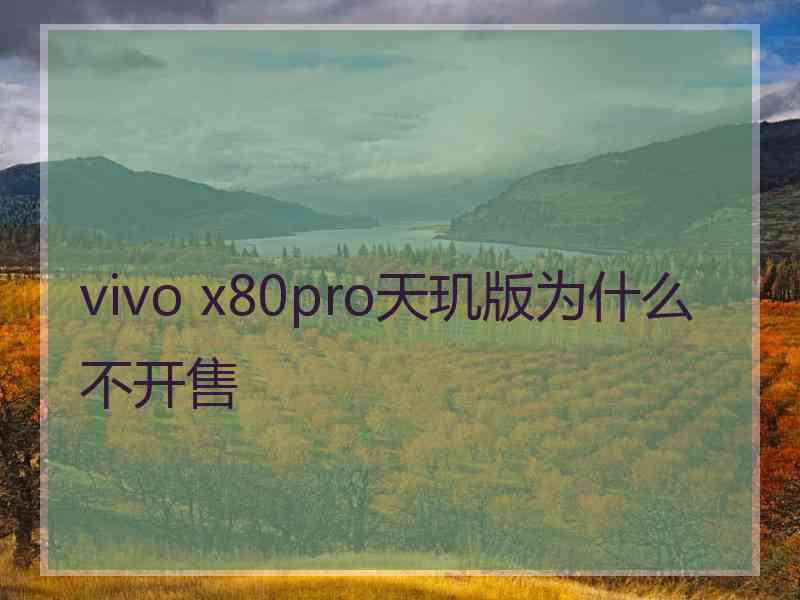 vivo x80pro天玑版为什么不开售