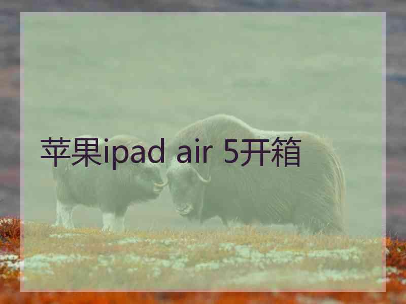 苹果ipad air 5开箱