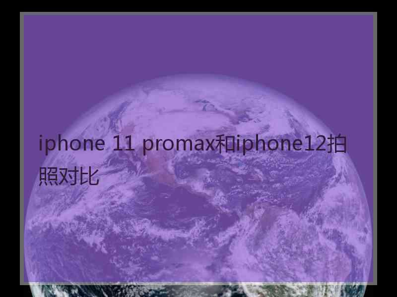 iphone 11 promax和iphone12拍照对比