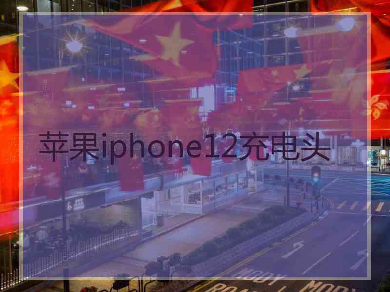 苹果iphone12充电头