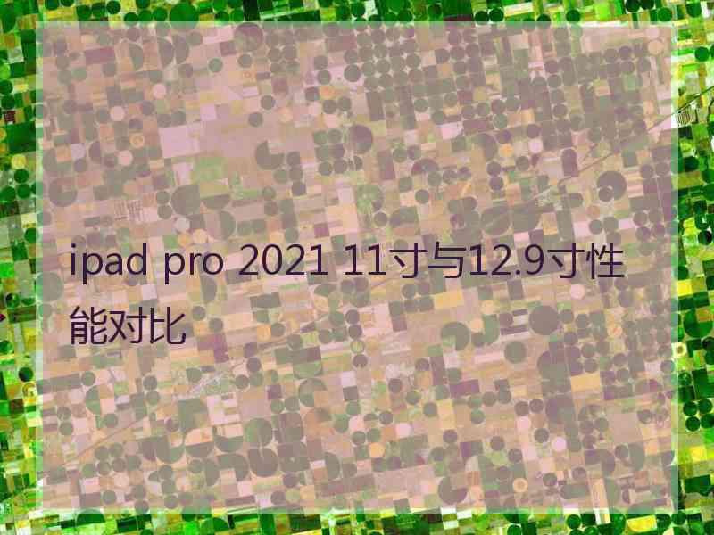 ipad pro 2021 11寸与12.9寸性能对比