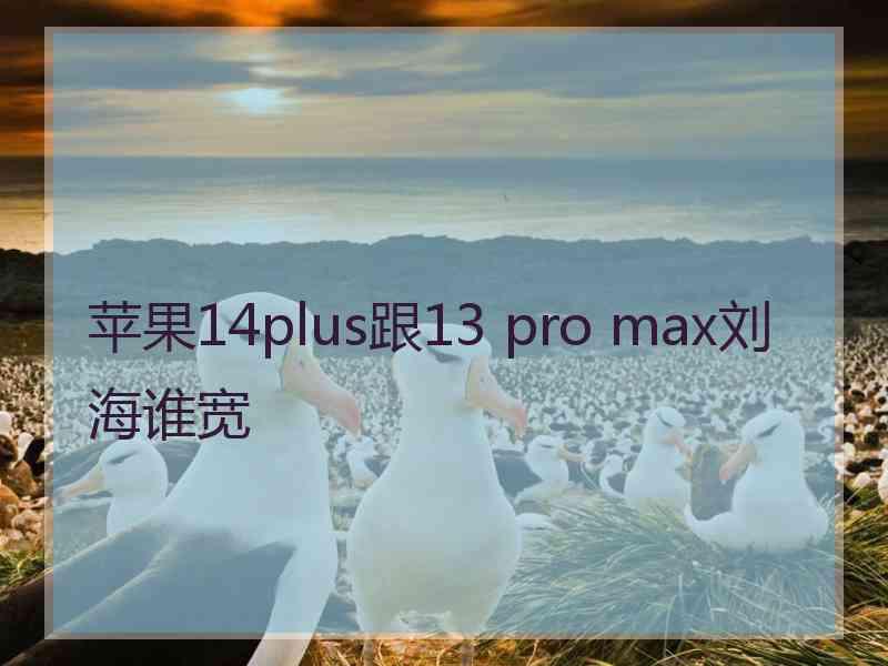 苹果14plus跟13 pro max刘海谁宽