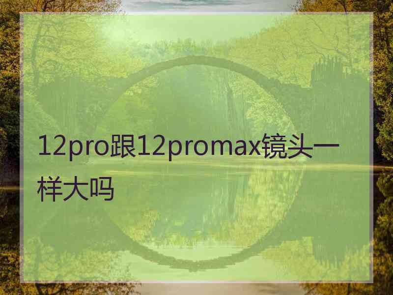 12pro跟12promax镜头一样大吗