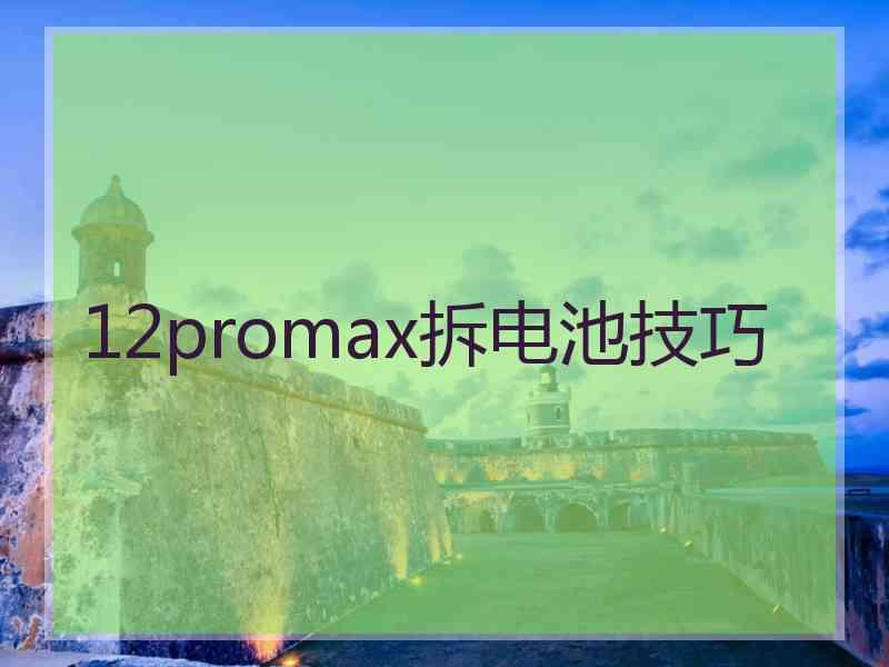 12promax拆电池技巧