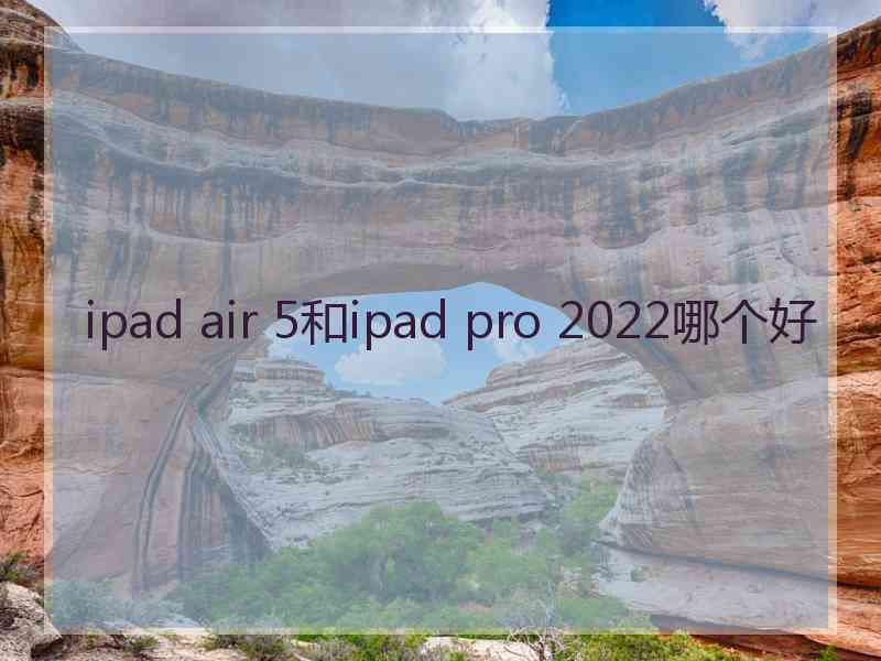 ipad air 5和ipad pro 2022哪个好