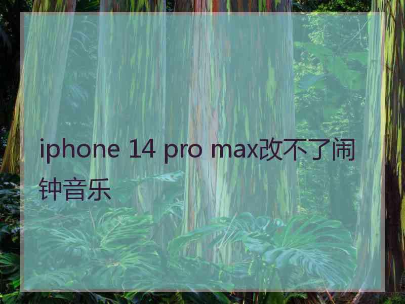 iphone 14 pro max改不了闹钟音乐