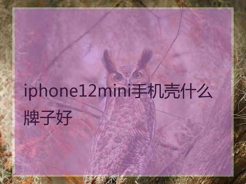 iphone12mini手机壳什么牌子好