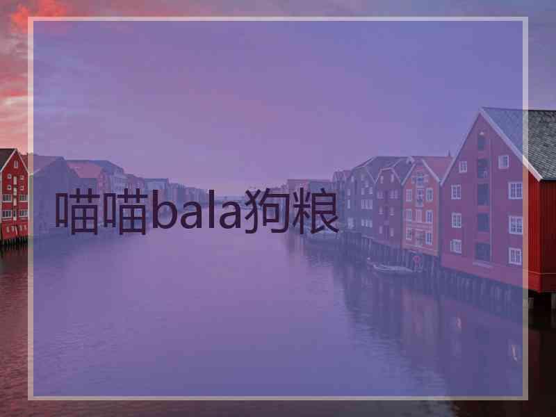 喵喵bala狗粮