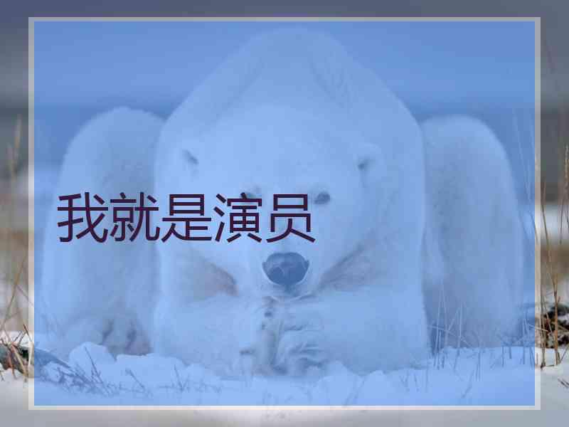 我就是演员