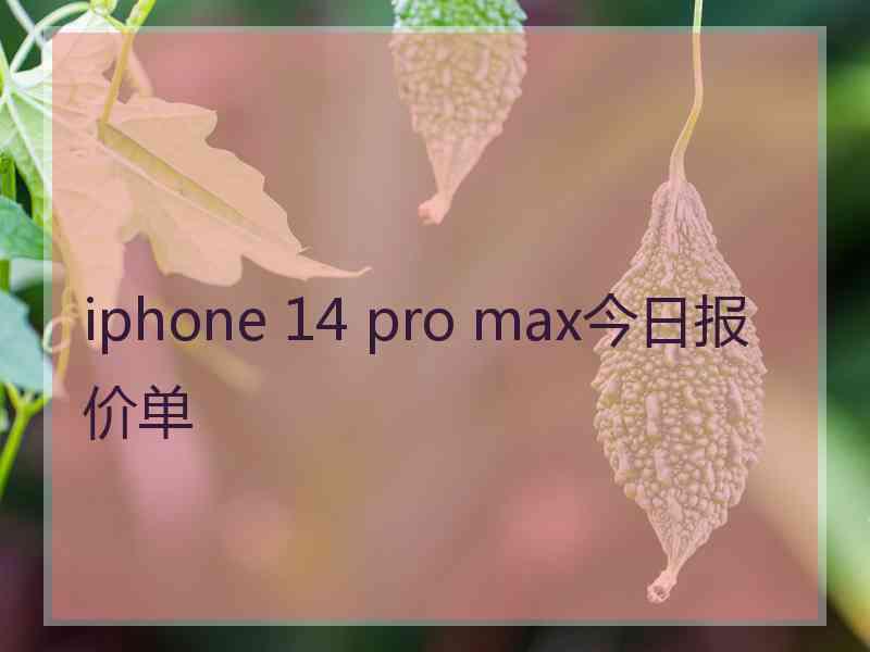 iphone 14 pro max今日报价单