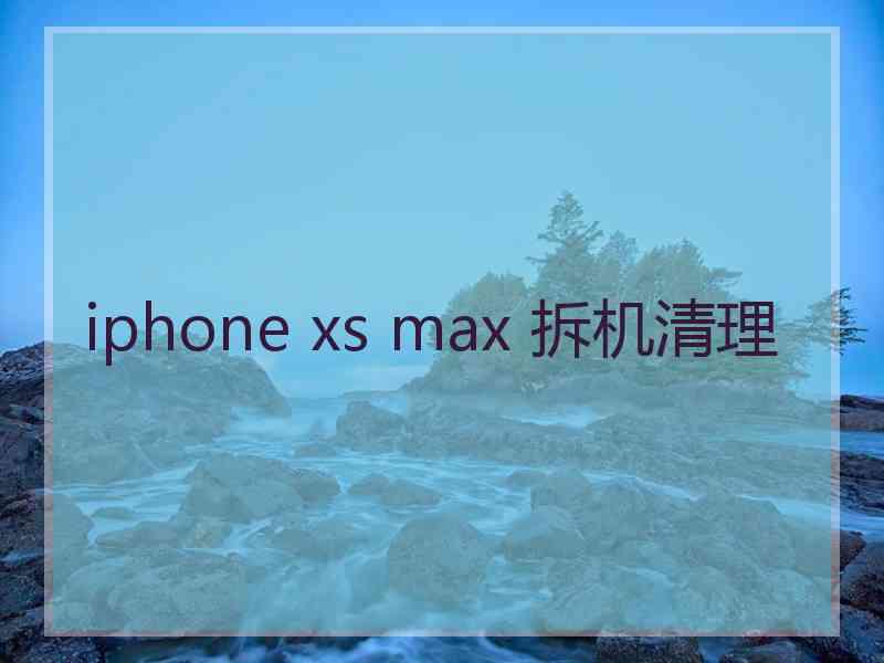 iphone xs max 拆机清理