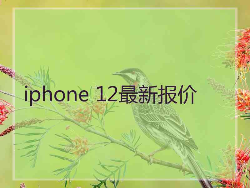 iphone 12最新报价