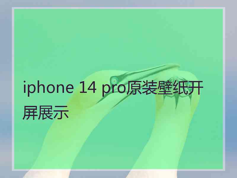 iphone 14 pro原装壁纸开屏展示