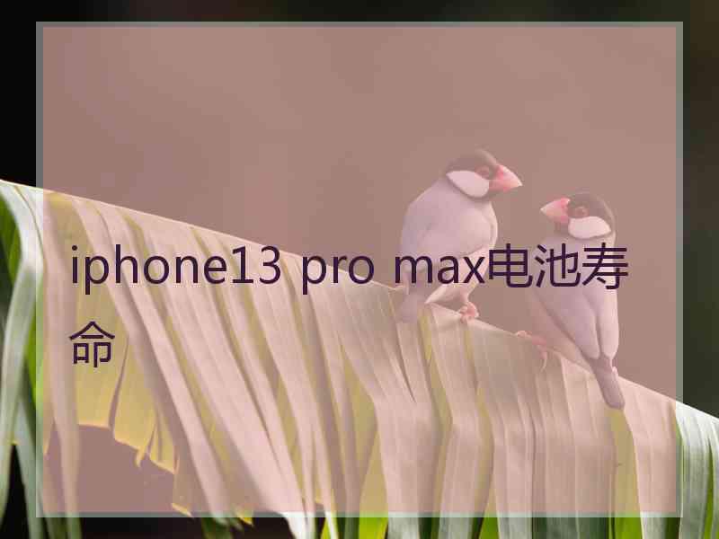 iphone13 pro max电池寿命