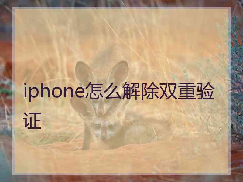 iphone怎么解除双重验证