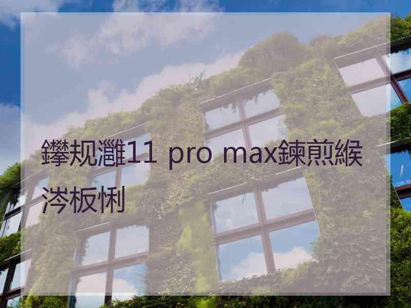 鑻规灉11 pro max鍊煎緱涔板悧