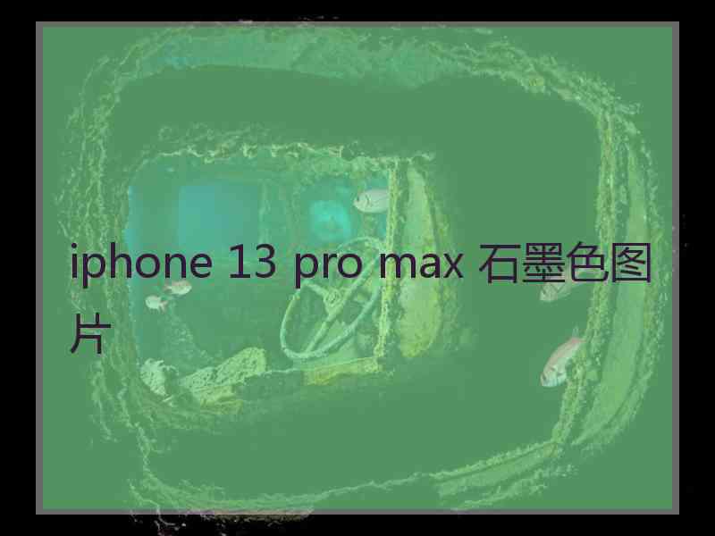 iphone 13 pro max 石墨色图片