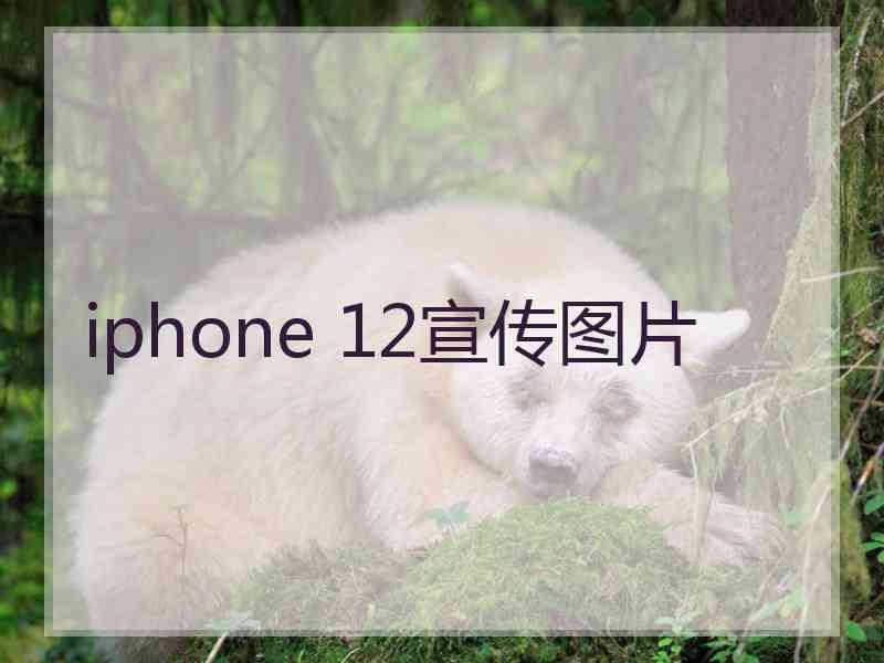 iphone 12宣传图片