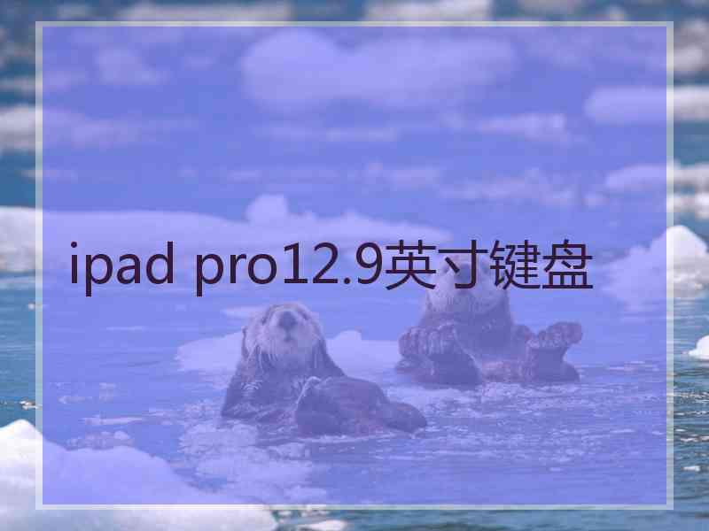 ipad pro12.9英寸键盘