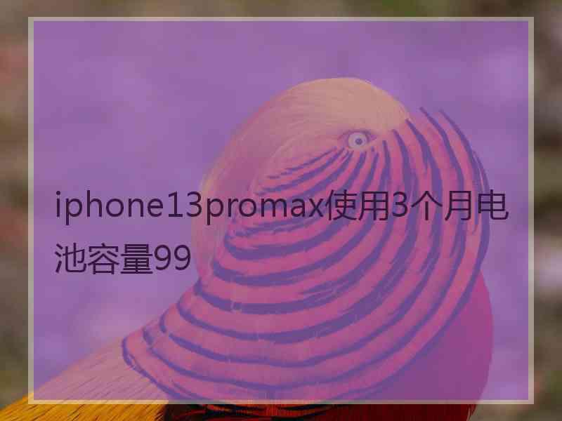 iphone13promax使用3个月电池容量99