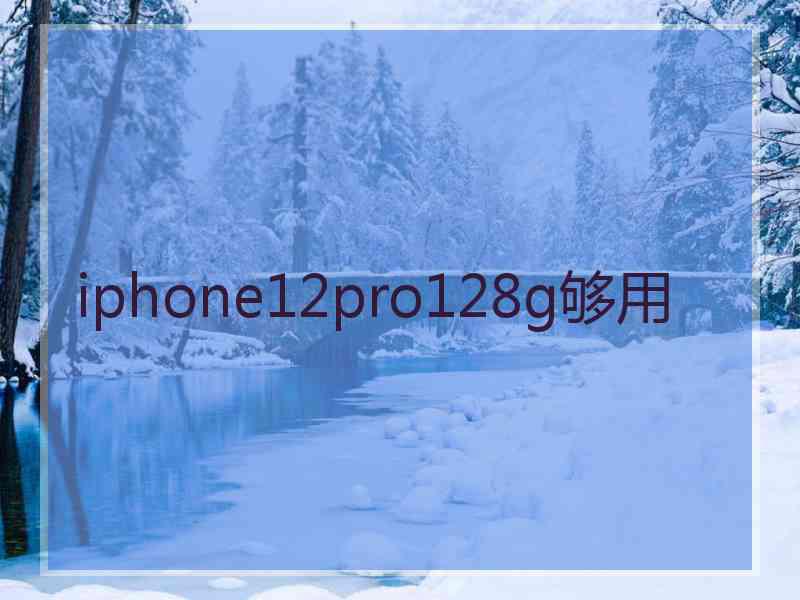 iphone12pro128g够用